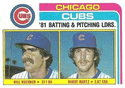 Cubs Leaders / Checklist