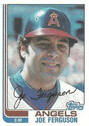 Joe Ferguson
