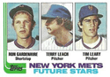 Mets Future Stars