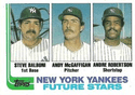 Yankees Future Stars