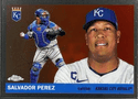 Salvador Perez
