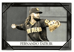 Fernando Tatis Jr.