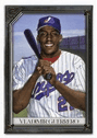 Vladimir Guerrero