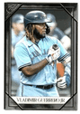 Vladimir Guerrero Jr.