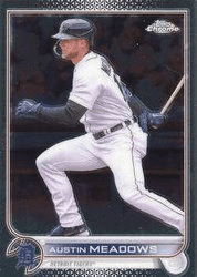 Austin Meadows