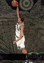 Shawn Bradley