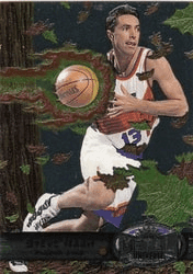 Steve Nash #101 Base Set
