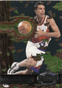 Steve Nash