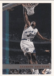 Shandon Anderson #55 Base Set