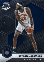 Mitchell Robinson