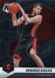Nemanja Bjelica