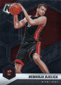 Nemanja Bjelica