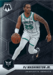 PJ Washington Jr