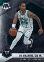 PJ Washington Jr