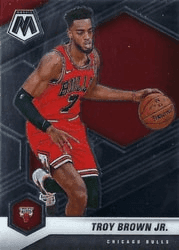 Troy Brown Jr