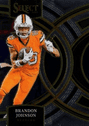 Brandon Johnson