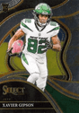 Xavier Gipson