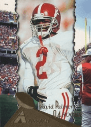 David Palmer