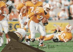 Reggie Cobb