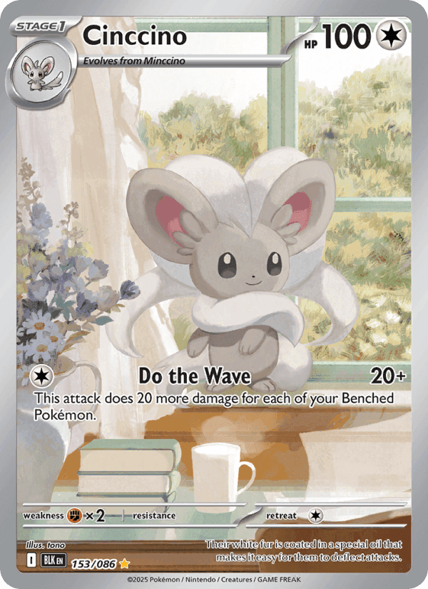 Cinccino