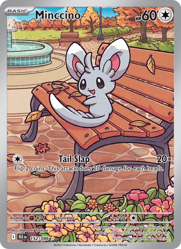 Minccino