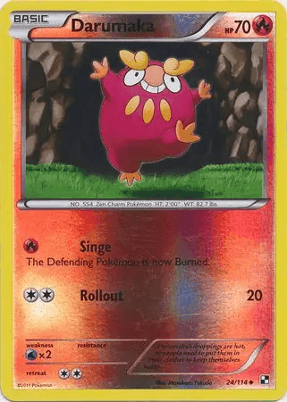Darumaka