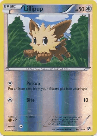Lillipup