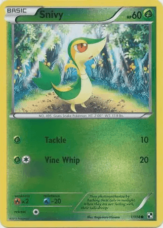 Snivy