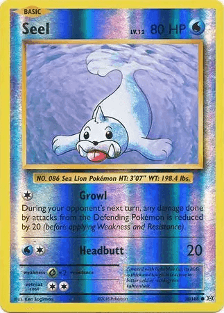 Seel
