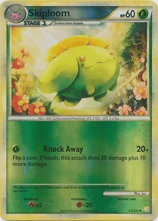 Skiploom