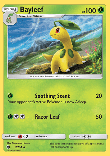 Bayleef
