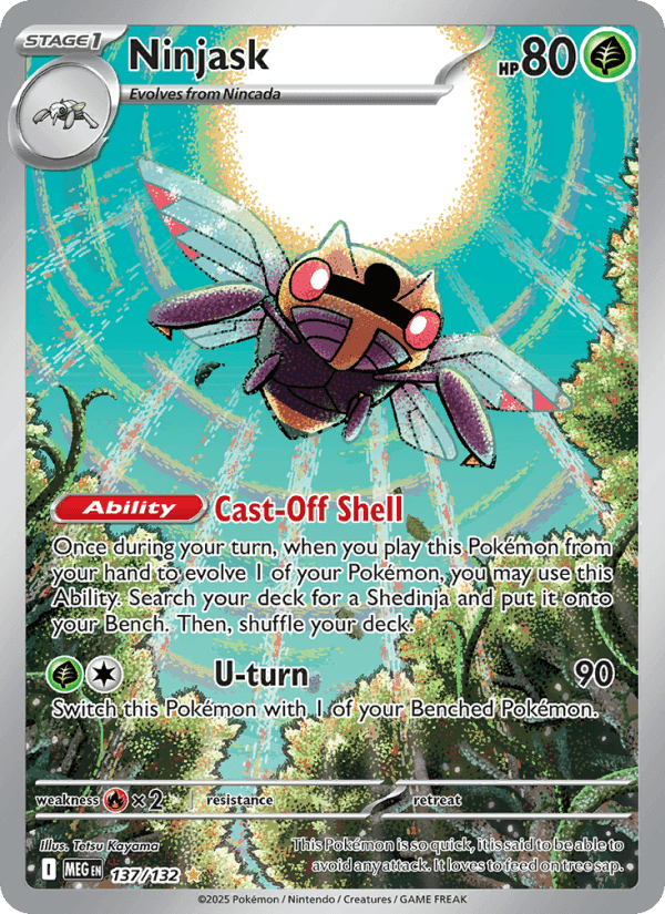 Ninjask