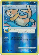 Buizel