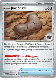 Antique Jaw Fossil
