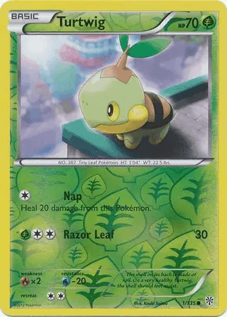 Turtwig