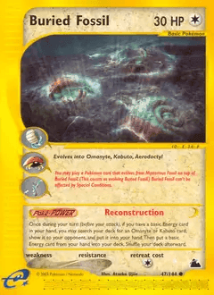 Buried Fossil