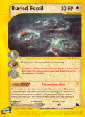 Buried Fossil