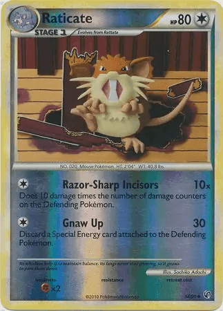 Raticate