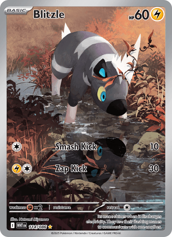 Blitzle