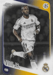 Vini Jr.