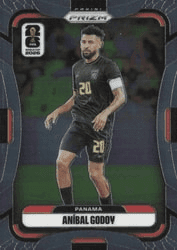 Anibal Godoy #337 FIFA World Cup