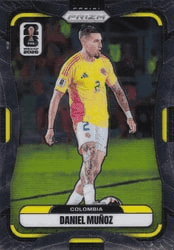 Daniel Munoz #180 FIFA World Cup