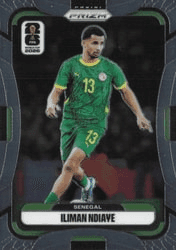 Iliman Ndiaye #399 FIFA World Cup