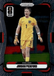Jordan Pickford #111 FIFA World Cup