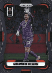 Mohamed El Shenawy #223 FIFA World Cup