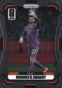 Mohamed El Shenawy