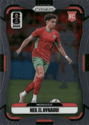 Neil El Aynaoui #300 FIFA World Cup