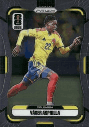 Yaser Asprilla #191 FIFA World Cup