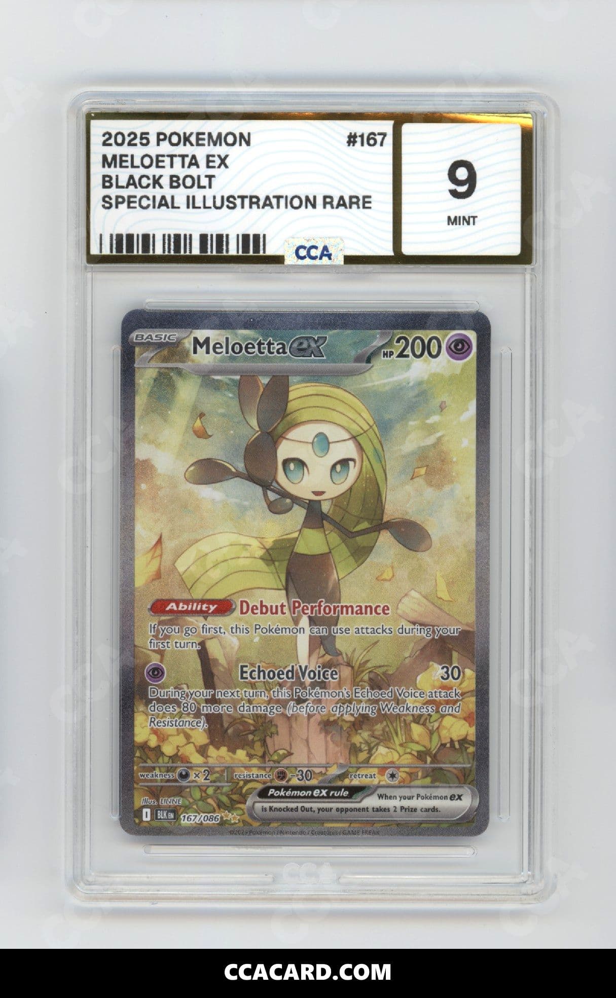 CCA graded Meloetta ex slab