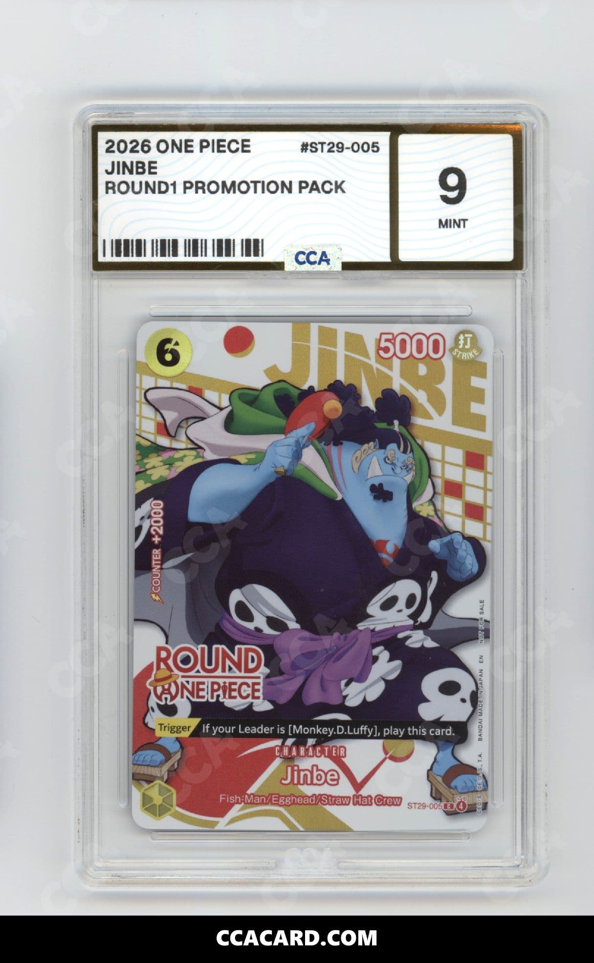CCA graded Jinbe slab